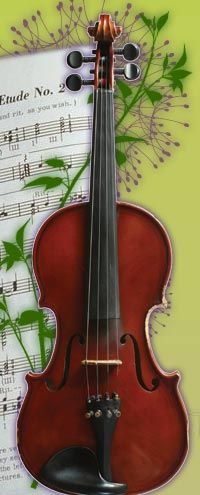 home page graphic